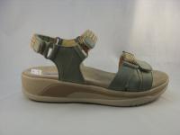Acula Green